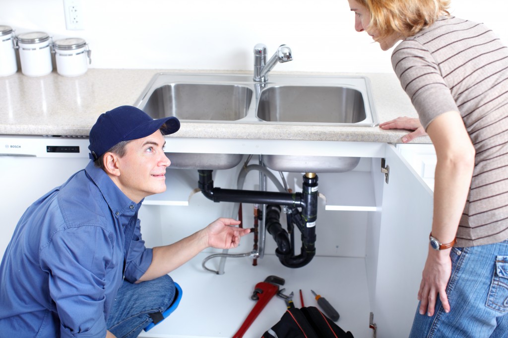 plumber and lady customer